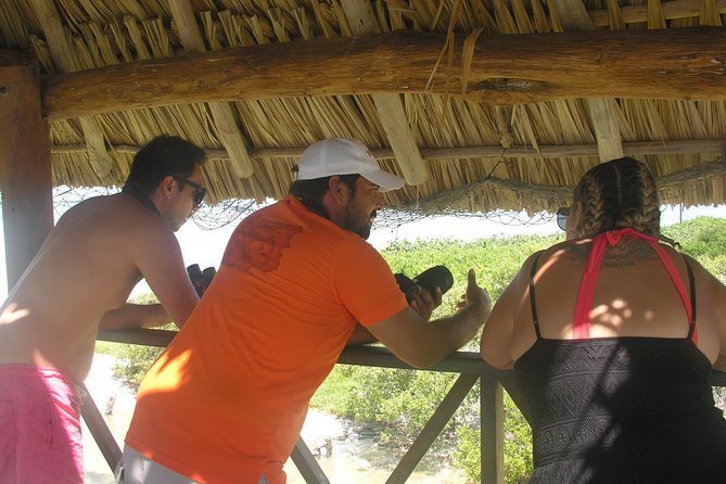 Holbox 3 Island Private Boat Tour - Passion Island and Holbox’s bird life