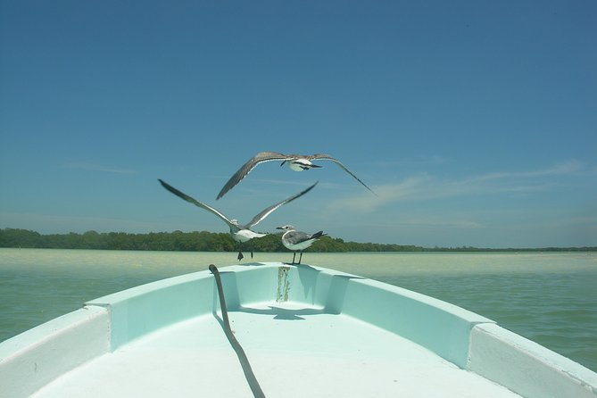 Holbox 3 Island Private Boat Tour - How to make the most of the 2.5 to 3.5 hours