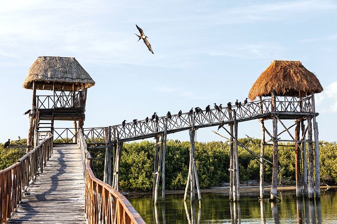 Holbox 3 Island Private Boat Tour - Who should book this boat tour?