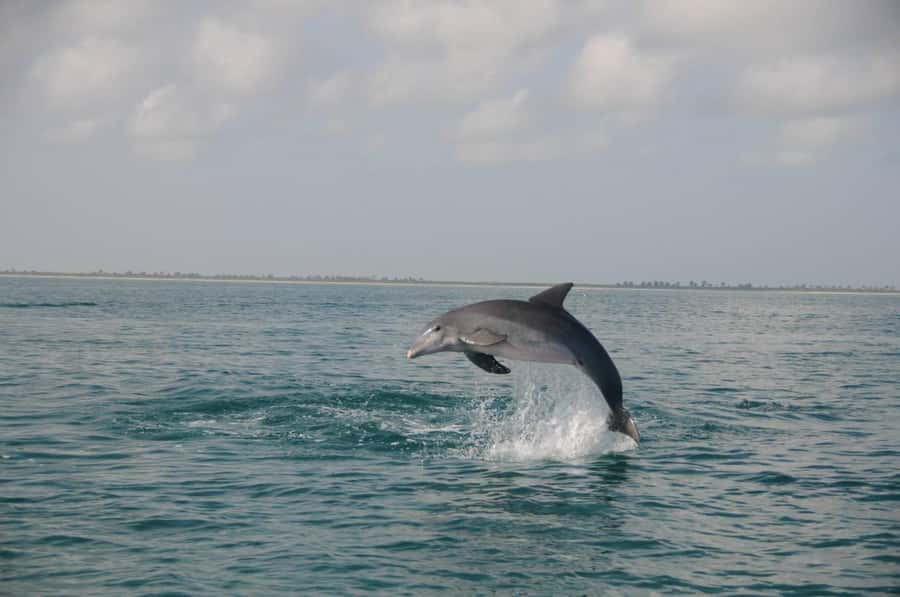 Holbox: Three Islands Tour - Yalahau Lagoon sets the tone