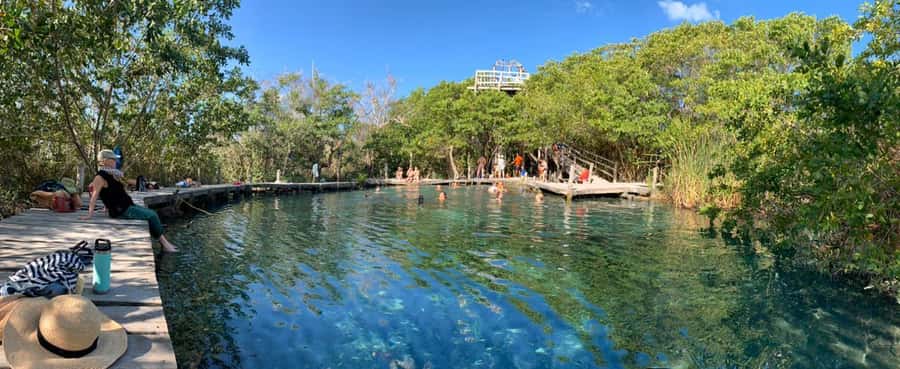 Holbox: Three Islands Tour - Isla Pájaros protects a busy bird habitat