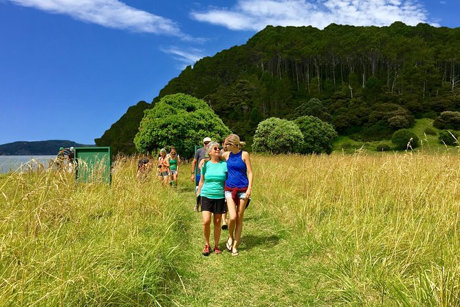 Hole in the Rock Cruise & Island Tour - with two island stopovers - Motukokako Island and the famous opening