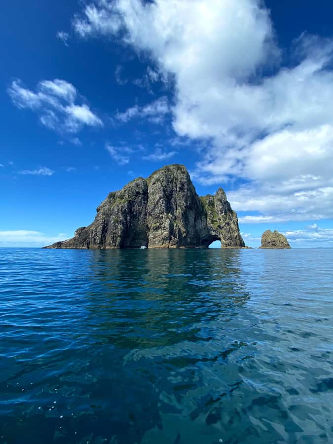 Hole in the Rock Tour & Bay of Islands Cruise - The Cape Brett Lighthouse and outer coast