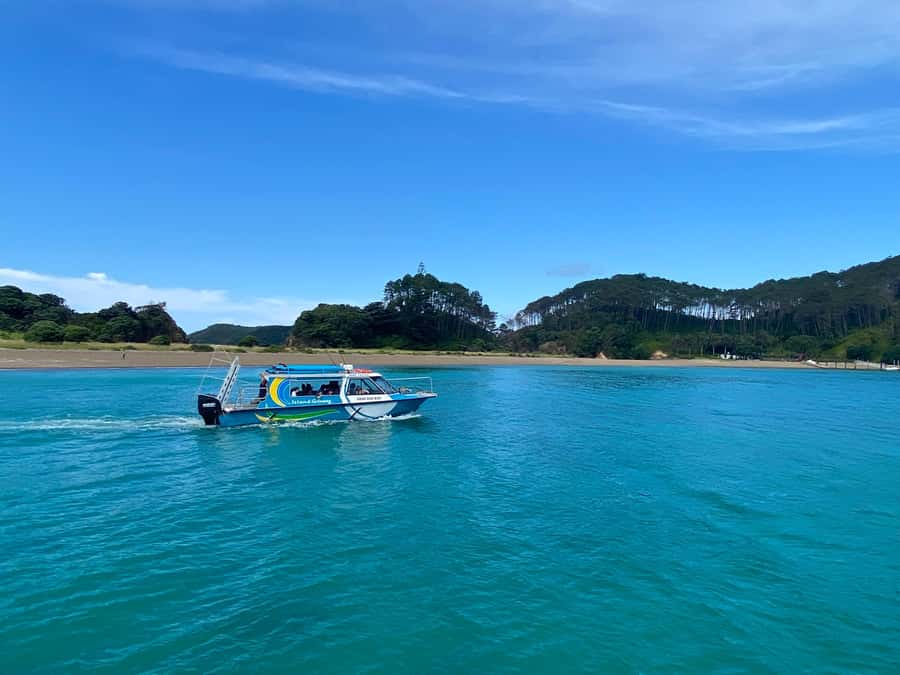 Hole in the Rock Tour & Bay of Islands Cruise - Who should book this cruise?