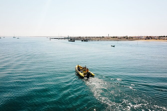 Hop On Hop Off 3 Islands: Deserta, Farol and Culatra - Culatra: the most human side of the trip