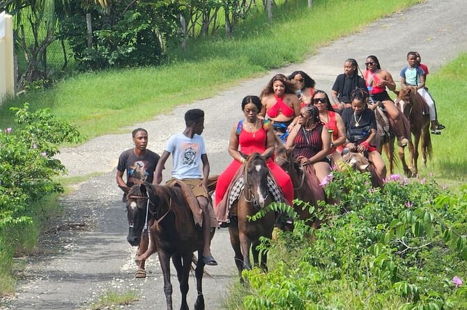 Horseback Riding at Hawksbill Beach in Five islands Antigua - Hawksbill Beach is the payoff, but keep expectations in check