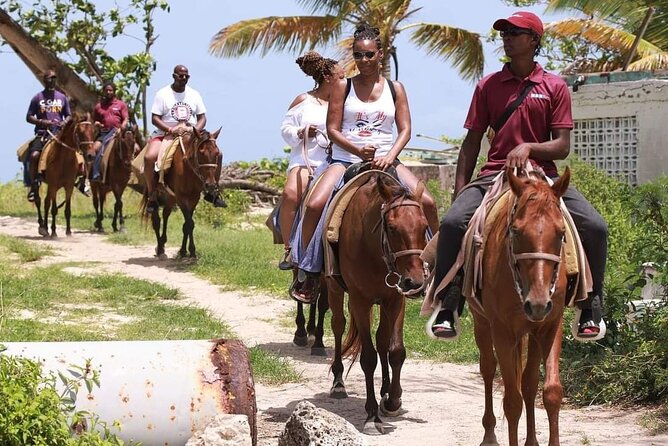 Horseback Riding at Hawksbill Beach in Five islands Antigua - Horses, guides, and the feel of the stable