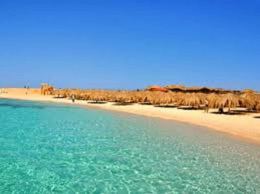 Hurghada: 3-Island Speedboat, Dolphin Watching & Snorkeling - Pickup, timing and the small print that matters