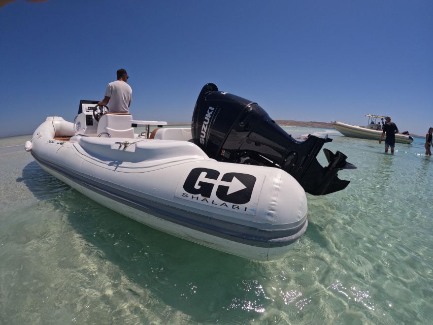 Hurghada: 4 Island Hopping Tour Dolphin, Snorkeling & Lunch - Searching for dolphins in open water