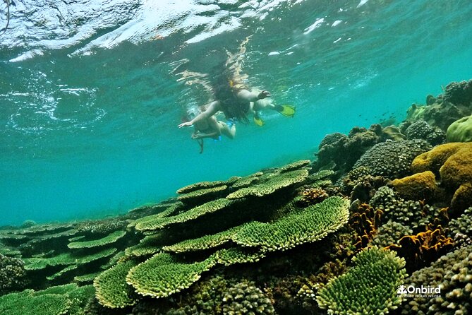 Island Chillax Hideaway: Snorkeling & Sunset BBQ [MAX 12 PAX] - Pickup, timing, and extra transfer costs
