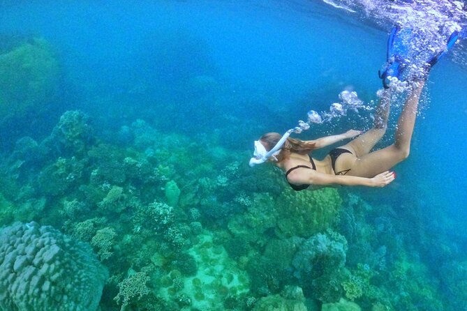 Island Chillax Hideaway: Snorkeling & Sunset BBQ [MAX 12 PAX] - Is $63.68 good value?