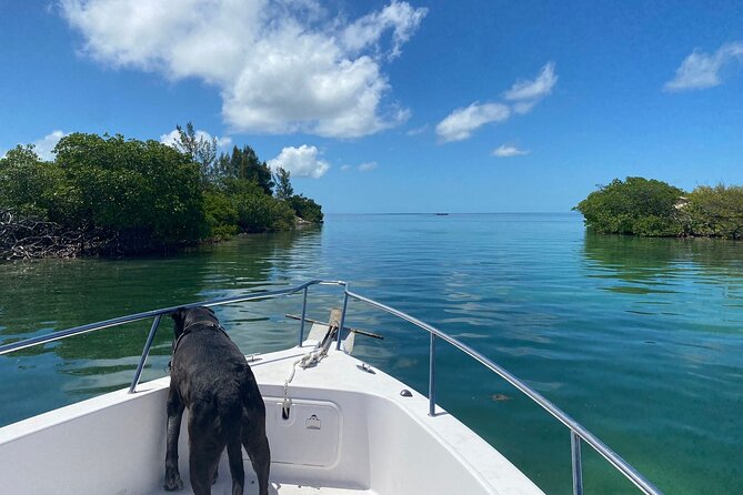 Island Hop Sandbar Adventure - Sandbar Time and a Slower Pace