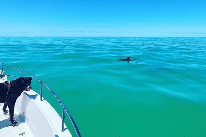 Island Hop Sandbar Adventure - Who Will Enjoy This Charter Most?