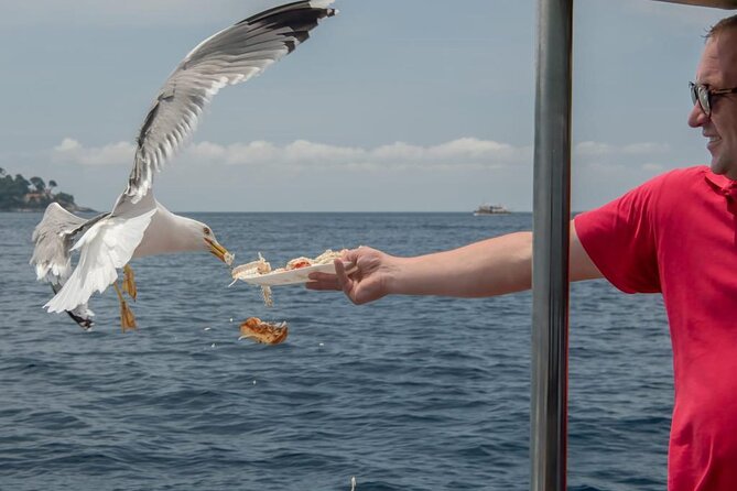 Island Hopping & City Walls Cruise with Food and Open Bar - Who will enjoy this cruise most?