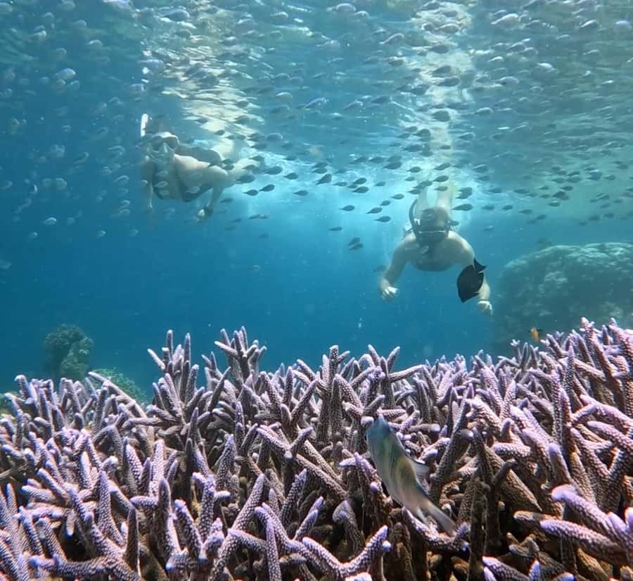 Island Hopping Gili Asahan, Gede, Rengit, Layar & Goleng - Gili Layar, the fish garden and lunch stop