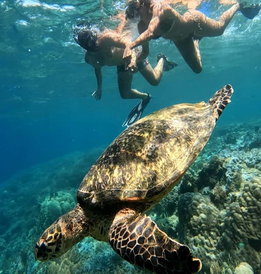 Island Hopping Gili Asahan, Gede, Rengit, Layar & Goleng - Gili Goleng, the empty island feeling