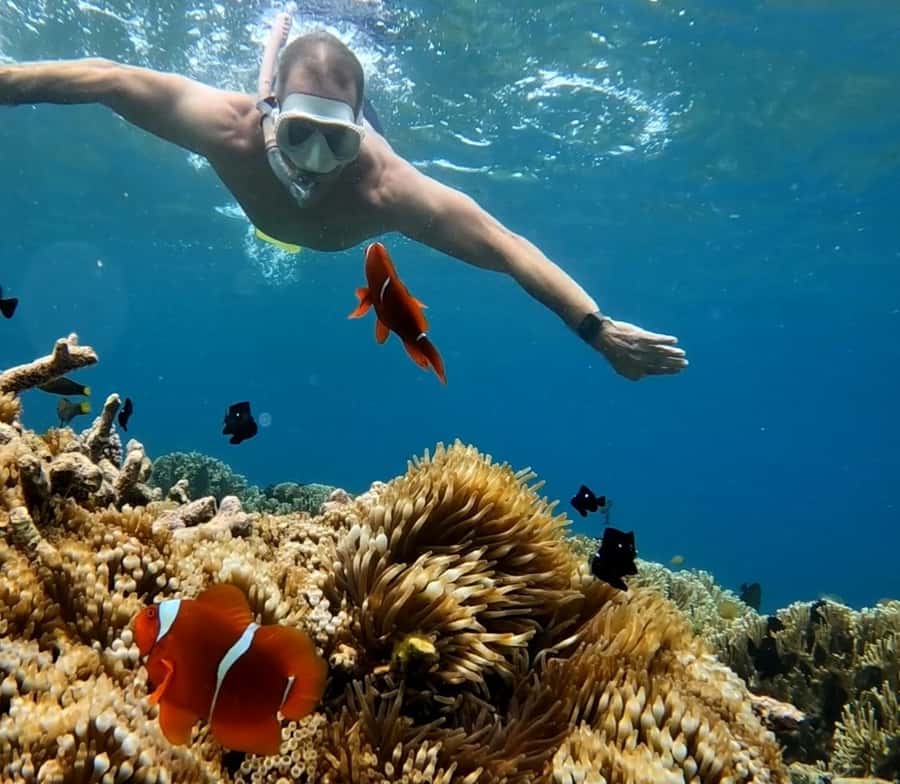 Island Hopping Gili Asahan, Gede, Rengit, Layar & Goleng - Gili Asahan, the relaxed finish