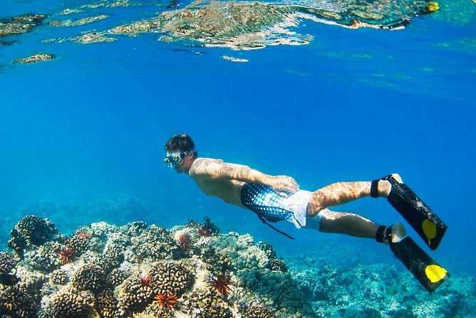Island Hopping Tour (2 Island) From Kota Kinabalu - Snorkeling conditions and the equipment question