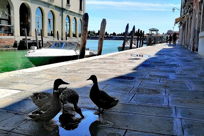 Island Hopping Tour: Mazzorbo, Burano and Murano - Why this three-island route works
