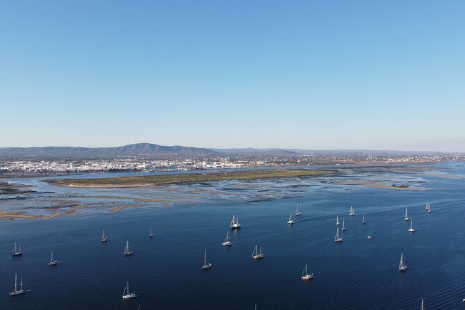 Islands Tour: Half Day Cruise in Ria Formosa Natural Park - Ilha do Farol and the short second stop