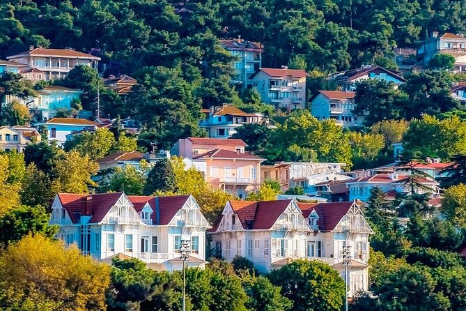 Istanbul Full Day Princess Islands Tour with Lunch - Why the Princess Islands make a good Istanbul day trip