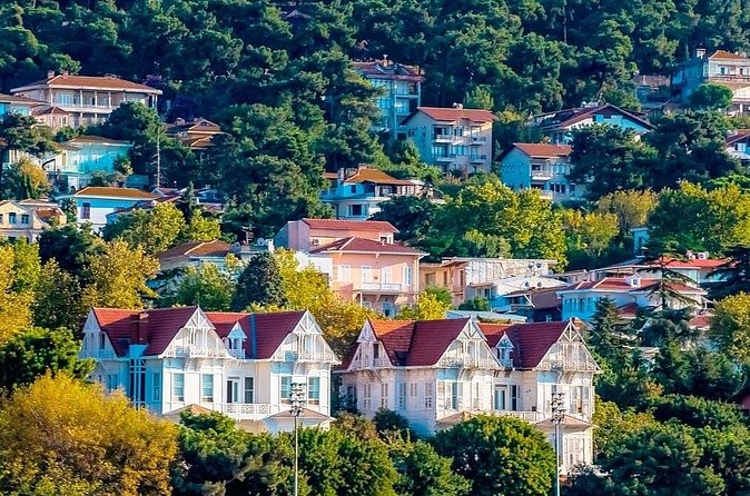 Istanbul Full Day Princess Islands Tour with Lunch - What the free time really means