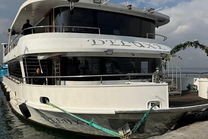 Istanbul Full Day Princess Islands Tour with Lunch - The ferry ride sets the tone