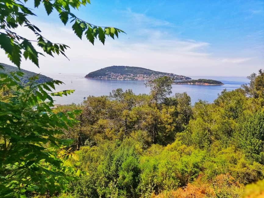 Istanbul: Prince islands Tour w/ Lunch and transfer options - Büyükada brings more choice and more time