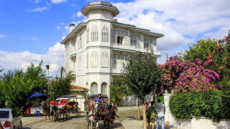 Istanbul: Prince islands Tour w/ Lunch and transfer options - Lunch: convenience on board or choice on shore