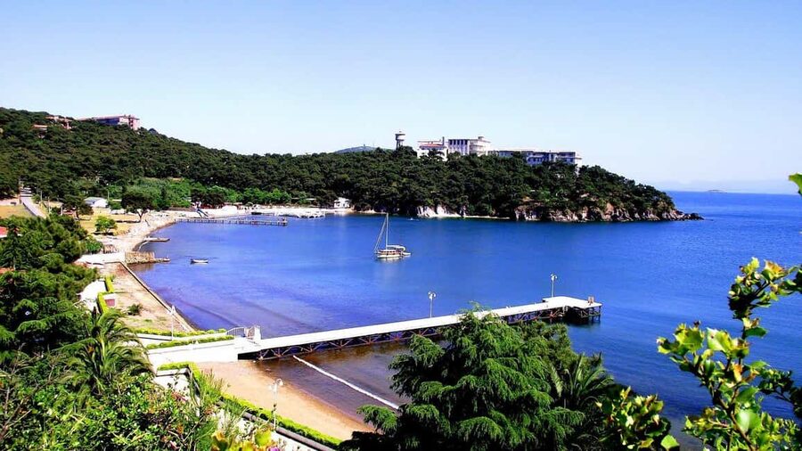 Istanbul: Prince islands Tour w/ Lunch and transfer options - Who will enjoy this island day?