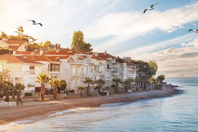 Istanbul Princes’ Islands Boat Trip with Lunch - What the guide can and cannot do