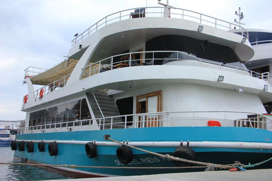 Istanbul: Princes' Islands Cruise w/Music, Lunch & Transfer - Büyükada, mansions, beaches, and free time