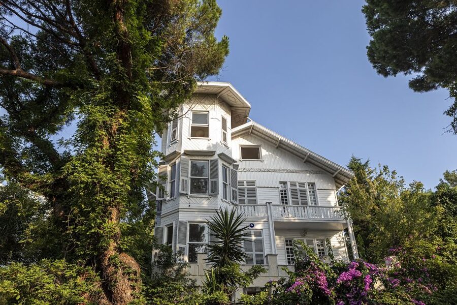 Istanbul: Princes' Islands Cruise w/Music, Lunch & Transfer - Who will enjoy this island day?
