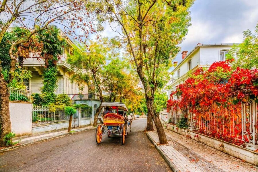 Istanbul: Princes' Islands Cruise with Lunch and Guide - Büyükada, the classic Princes’ Island