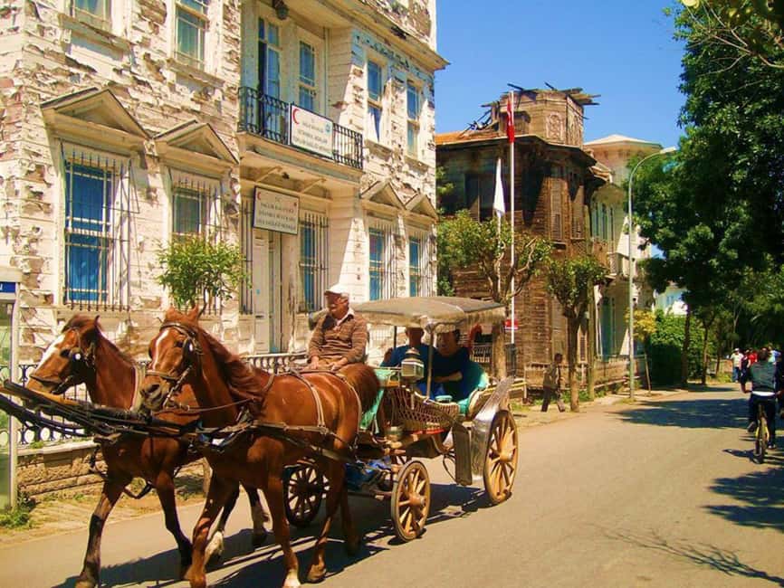 Istanbul: Princes' Islands Cruise with Lunch and Guide - Lunch on board and the value of the fare