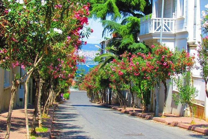 Istanbul: Princes Islands Tour with Heybeliada and Büyükada - Büyükada: the main island visit
