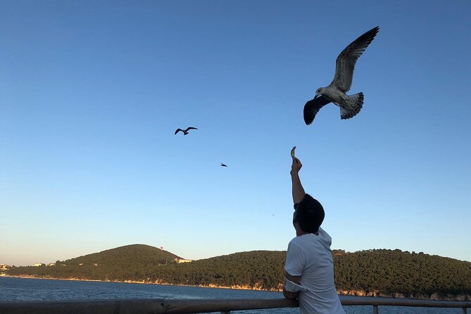 Istanbul: Princes Islands Tour with Heybeliada and Büyükada - Lunch, free time, and the limits of group touring