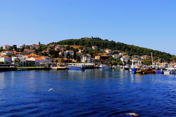 Istanbul: Princes Islands Tour with Heybeliada and Büyükada - Is the $29.96 price good value?