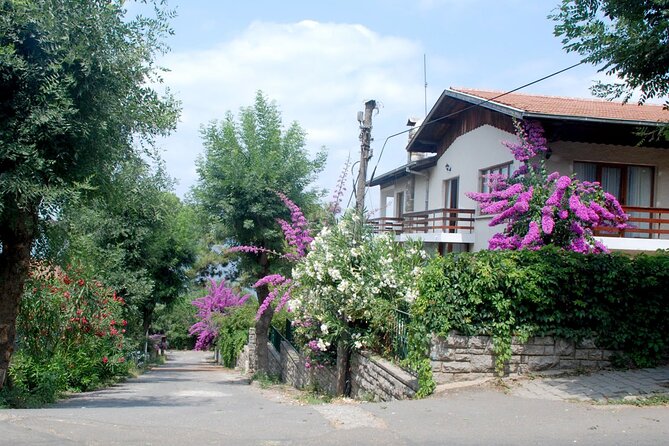 Istanbul: Princes Islands Tour with Heybeliada and Büyükada - Who will enjoy this day most