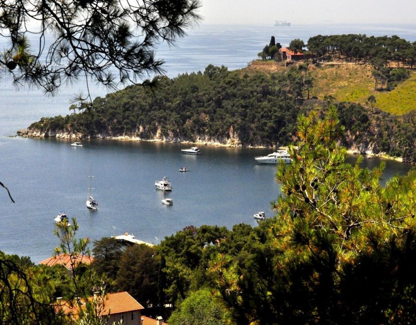 Istanbul: Princes' Islands Tour with Lunch and Transfers - Should you book the Princes’ Islands tour?