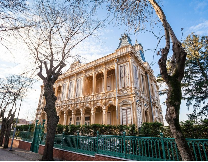 Istanbul: Princes' Islands Tour with Lunch and Transfers - Buyukada, old villas, and car-free streets