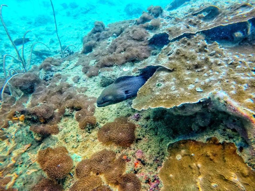 Ko Lanta: 4 Islands Snorkeling Tour by Longtail Boat - Ko Muk and the swim into Emerald Cave