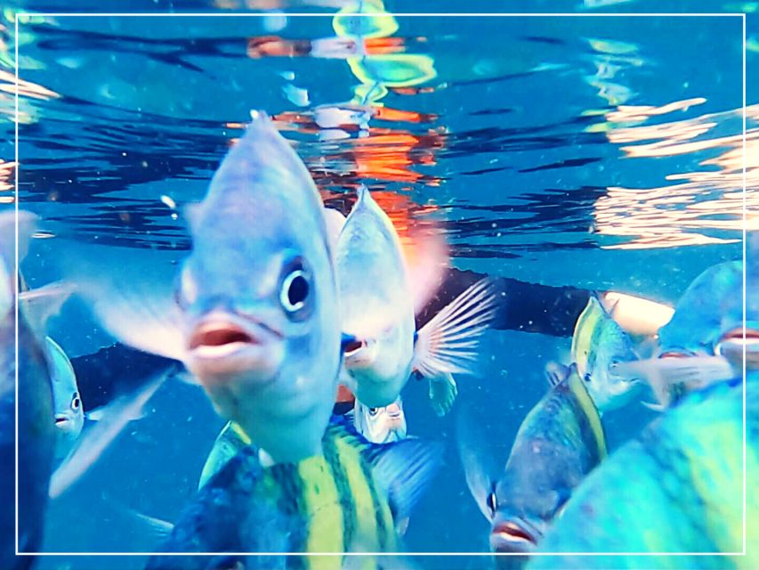 Ko Lanta: 4 Islands Snorkeling Tour by Longtail Boat - Ko Maa: another chance to swim and snorkel