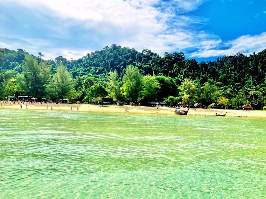 Ko Lanta: Private 4 Islands Tour by Longtail Boat - Who will get the most from this trip