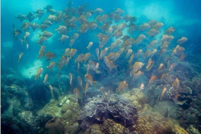 Ko Samet 5 or 6 Islands Snorkeling Tour with Lunch option - Koh Khame and Koh Krawai, the main beach break