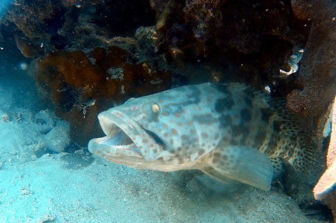 Ko Samet 5 or 6 Islands Snorkeling Tour with Lunch option - Koh Thalu and its easy island atmosphere