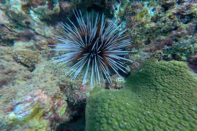 Koh Lanta: 4-Island Adventure Tour to Emerald Cave - Weather, water clarity, and seasonal luck