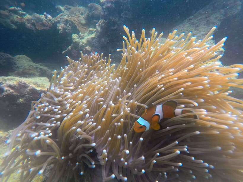 Koh Lanta: 4-Island Adventure Tour to Emerald Cave - What the $51 price really includes