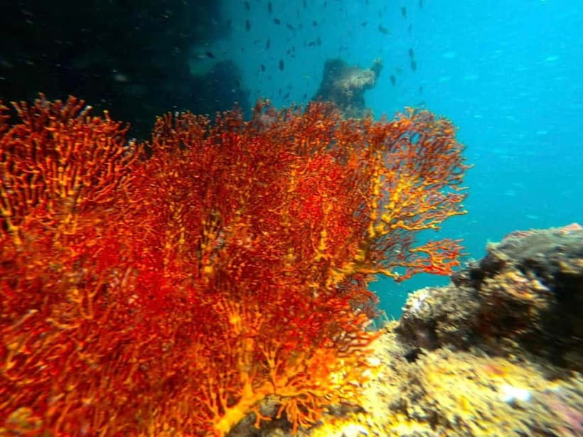 Koh Lanta: 4 Islands and Emerald Cave Snorkeling Trip - Swimming Through Emerald Cave on Koh Muk