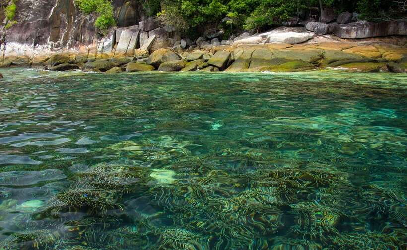 Koh Lipe: 5 Island Snorkeling Trip by Longtail Boat w/ Lunch - English guiding and what to expect from the crew
